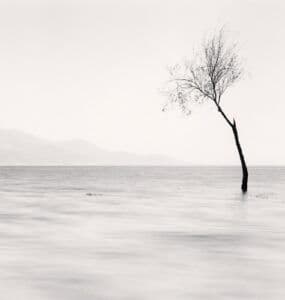 Light Etchings — The Photography Exhibition of Michael Kenna - 6