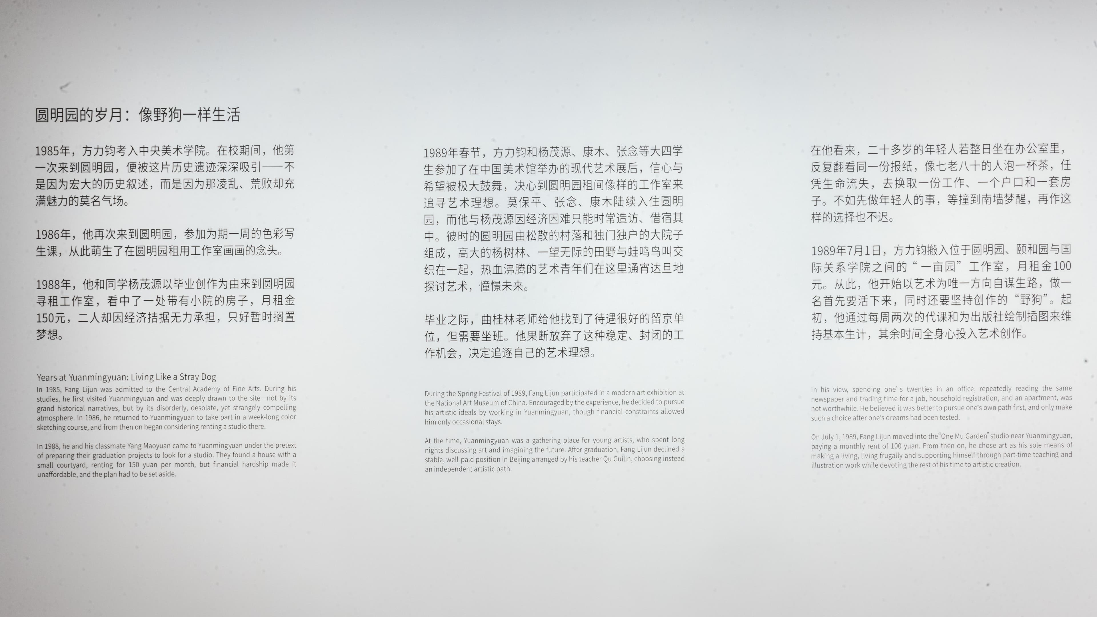 Fang Lijun 「Keen Time - On Becoming a "Waste Artist"」 - 16