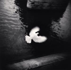 Light Etchings — The Photography Exhibition of Michael Kenna - 7
